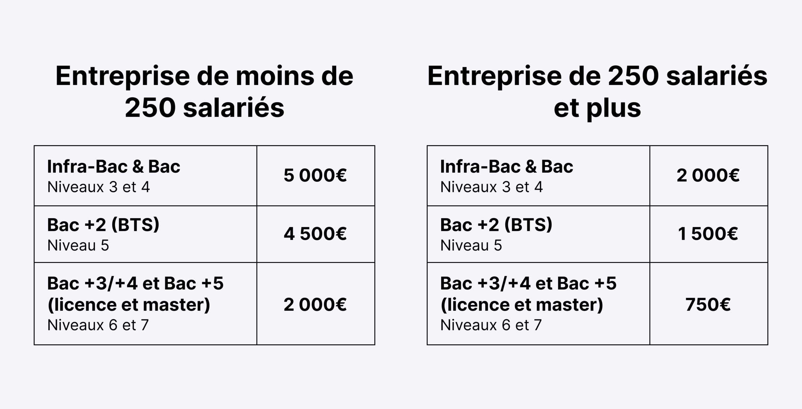 Entreprise de moins de 250 salariés : Infra-Bac & Bac - Niveaux 3 et 4 : 5 000€ Bac +2 (BTS) - Niveau 5 : 4 500€ Bac +3/+4 et Bac +5 (licence et master) - Niveaux 6 et 7 : 2 000€ Entreprise de 250 salariés et plus : Infra-Bac & Bac - Niveaux 3 et 4 : 2 000€ Bac +2 (BTS) - Niveau 5 : 1 500€ Bac +3/+4 et Bac +5 (licence et master) - Niveaux 6 et 7 : 750€